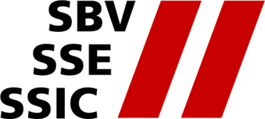 SBV - Schweizerischer Baumeisterverband | © SwissSkills